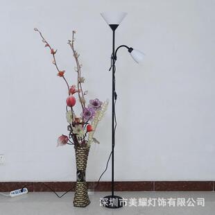 台灯led护眼落地灯客厅卧室床头立式双头子母灯现代创意工作地灯