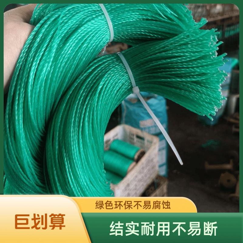 大棚吊绳黄瓜辣椒西红柿蔬菜吊线尼龙爬藤蔓绳吊秧绳吊网拉绳熟料