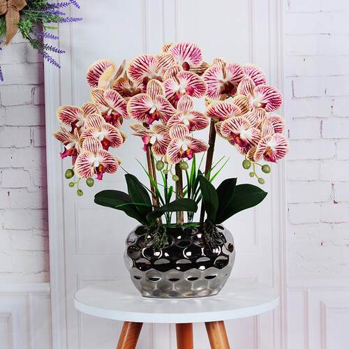 高档蝴蝶兰仿真花假花客厅摆设盆栽兰花插花装饰花轻奢花艺摆件