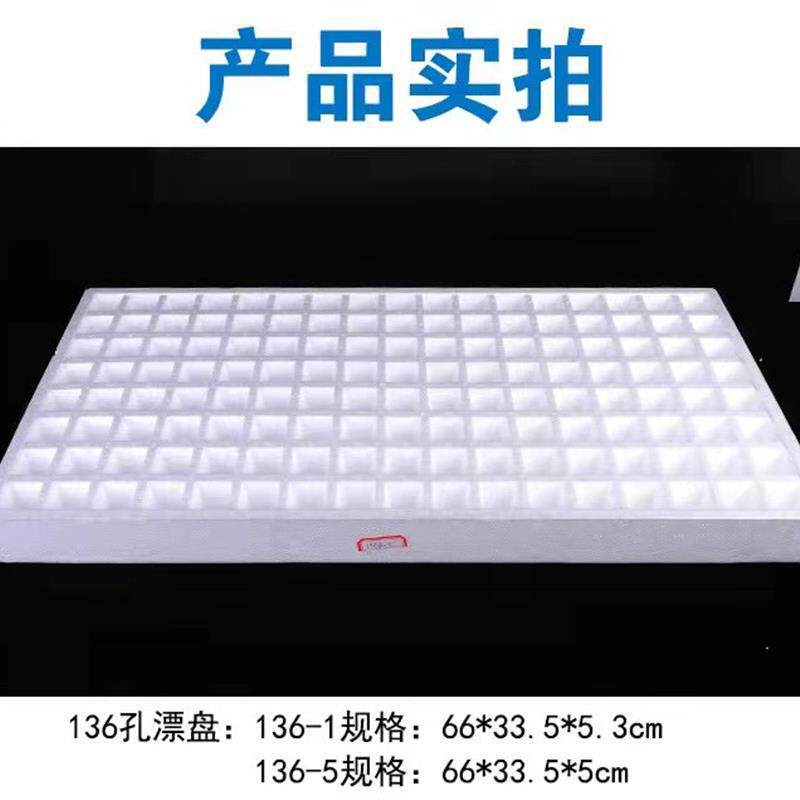 育苗飘盘泡沫育苗盘托盘萝卜苗芹菜莴笋生菜蔬菜培育穴板漂浮水上