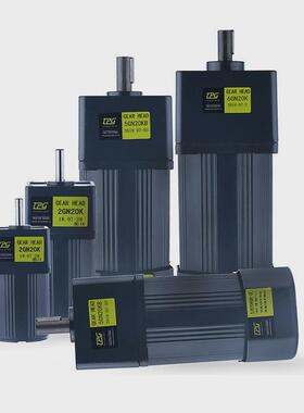 津晟邦减速调速电机电动机马达6w15w25w40w60w120w180w200w250w