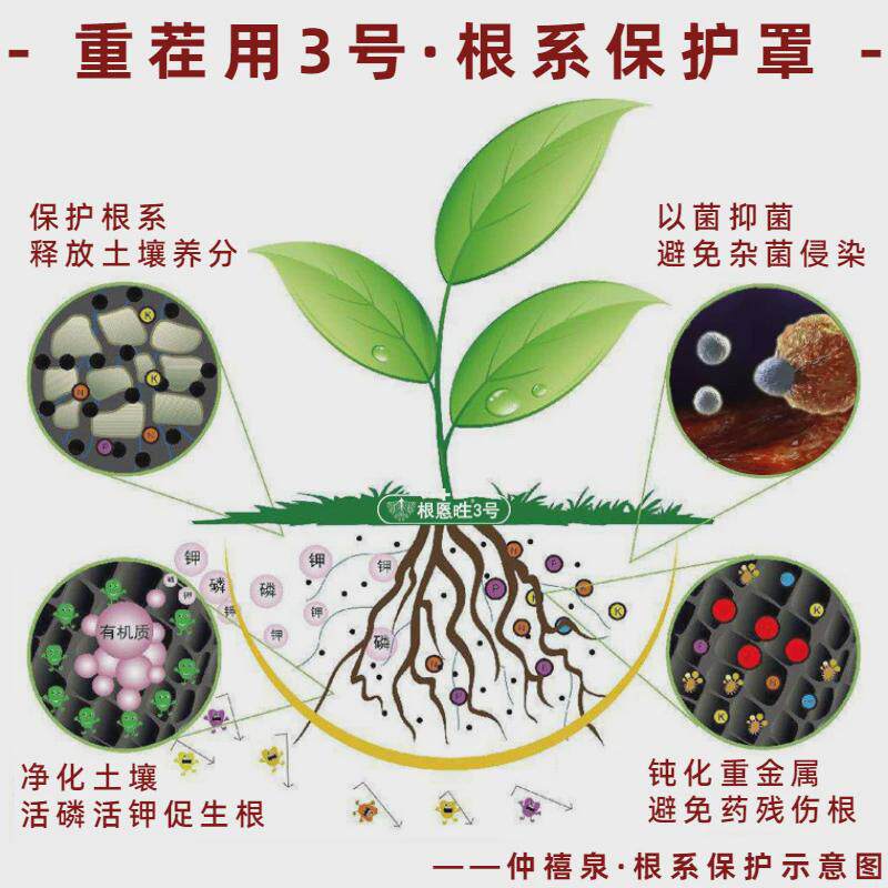 枯草芽孢杆菌死棵烂苗红中肥料微生物菌剂肥液肥烂根腐枯萎黄叶柱