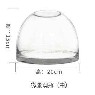 微观玻璃瓶苔藓闷养盆器玻璃容器微景观生态瓶瓶子花盆微景缸空瓶