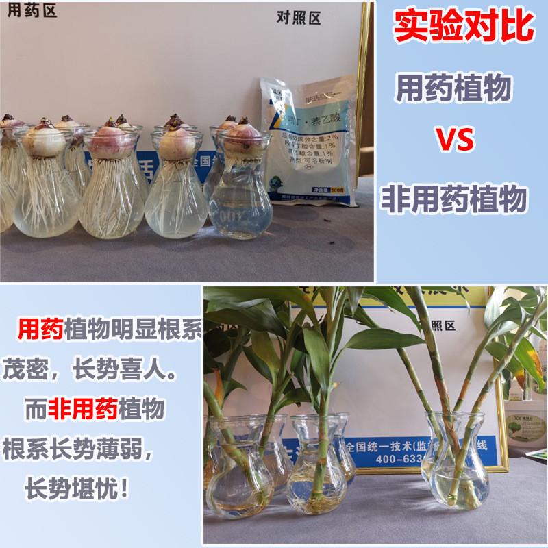 森活快胜跟生根粉植物壮苗扦插果树嫁接移栽剂果树园林盆景生根
