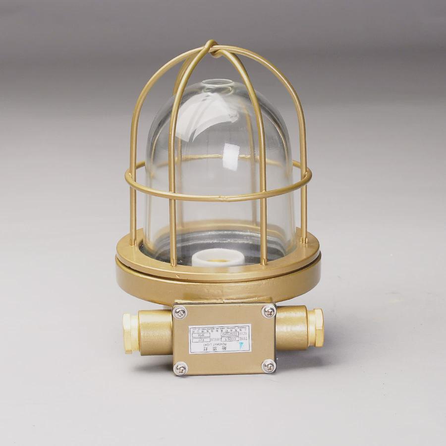 上海亮舟 船用舱顶灯CCD9-6 CCD9-6A铜质白炽灯 玻璃灯罩铜网护罩