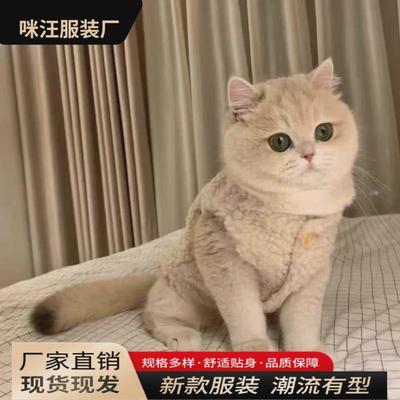 吉娃娃专用衣服冬季小狗狗穿的棉马甲幼犬泰迪小体比熊博美小鹿犬