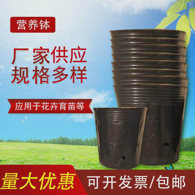 营养杯育苗杯大号加厚袋育苗盆塑料农用西瓜种植柑橘一次性营养钵