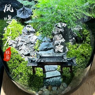 微景观玻璃生态造景办公室桌面绿植盆栽免养耐打理生态瓶自然造景