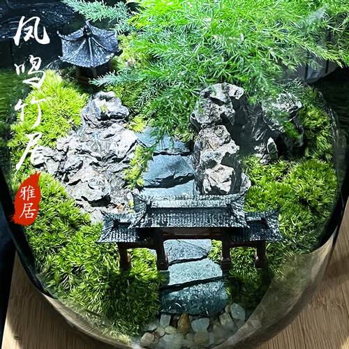 微景观养生态造景办公室桌面绿植盆栽耐玻璃免打理生态瓶自然造景