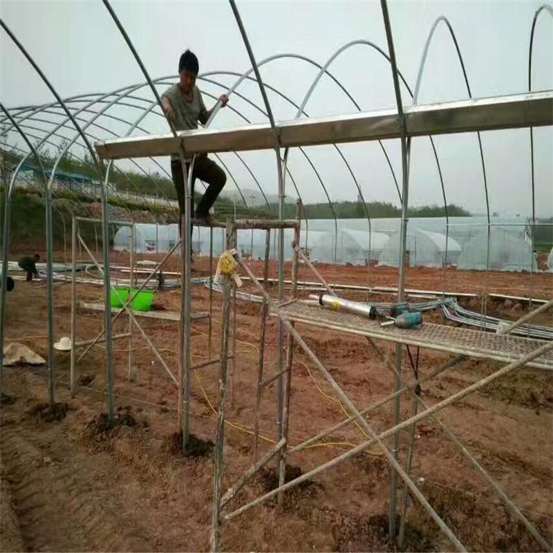 热销无锡苏仁温室大棚簧压顶4分6分1寸十字管固定卡簧大棚骨架配