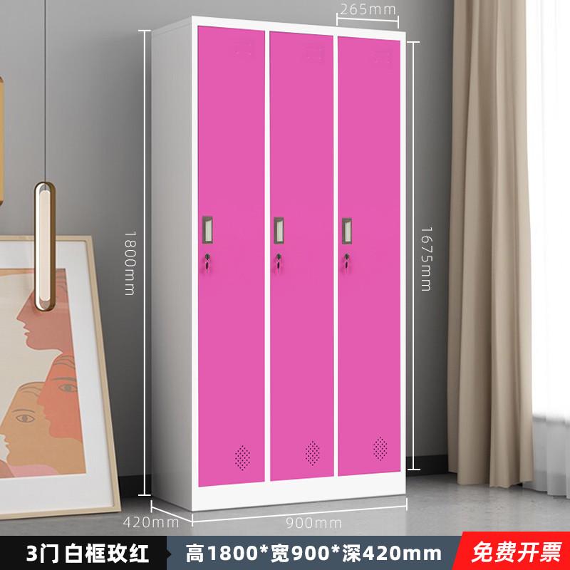 铁皮柜更衣柜家用更衣室带锁员工柜宿舍衣柜储物柜挂衣柜二门衣橱