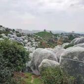 防虫网定制防虫网罩杨梅罩果树防虫网罩柑桔厂家蚊帐式 防虫罩