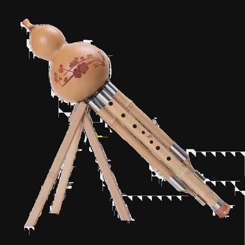 葫芦丝专业演奏乐器8孔C调紫竹楠竹七孔成人学生降BGFD学习傣音