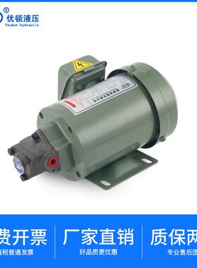 220V电动齿轮油泵-12A机床润滑-11/13A三角摆线泵