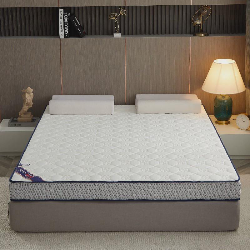 厂家学生软垫家用加厚宿舍乳胶床垫单人榻榻米垫子海绵垫褥子租房