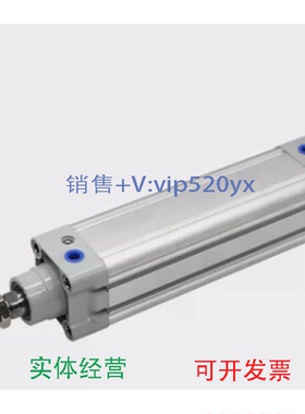 现货供应现货DNL-32-300-PPV-A1922622