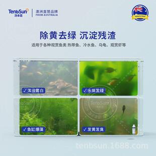【汤本臣鱼愈13号】十三号除藻剂除绿藻黑毛藻褐藻水藻净化水质