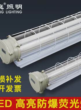 LED防爆灯1.2米单双管全套T8三防支架灯管带罩车间仓库隔爆日光灯