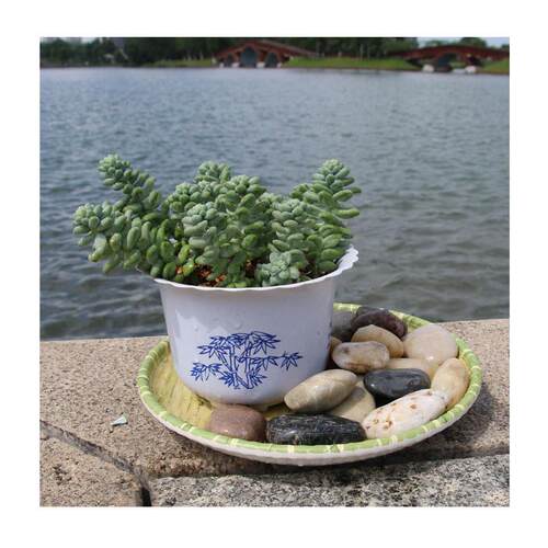 铺设鹅卵石五彩抛光雨花石发光石头铺地装饰鹅卵石彩色按摩路