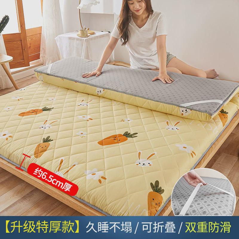 家用加厚床垫地铺软垫租房专用睡垫榻榻米褥子宿舍垫子夏季艳阳天图片