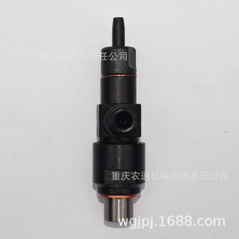 TP168喷油器-风冷柴油发动机喷油器总成168F汽改柴动力喷油器部件