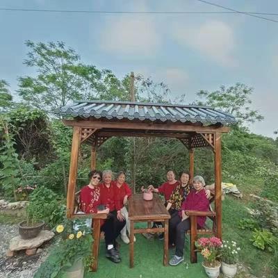 防腐木新中式休闲实木庭院景观园林菠萝格户外凉亭亭子仿古遮阳棚