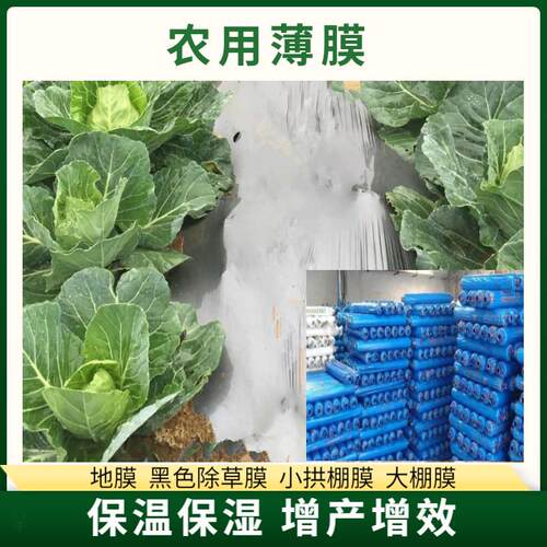 热销地膜批发白色透明西瓜保温塑料薄膜生产农用花生育秧膜厂家5