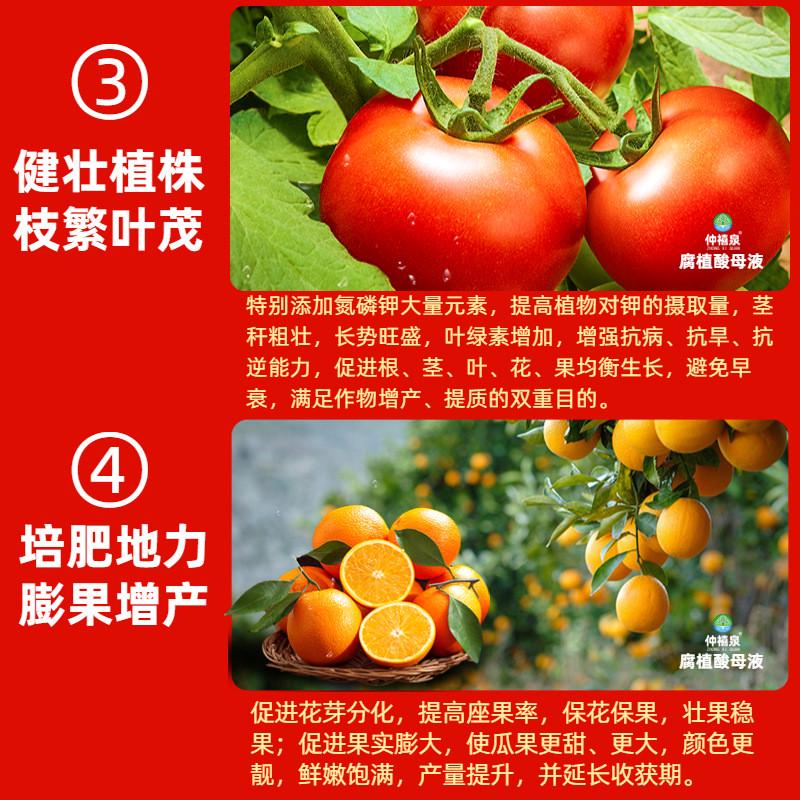 腐植酸水溶肥叶面冲施酸流体肥生根剂粉液土壤改良壮苗黄腐液体