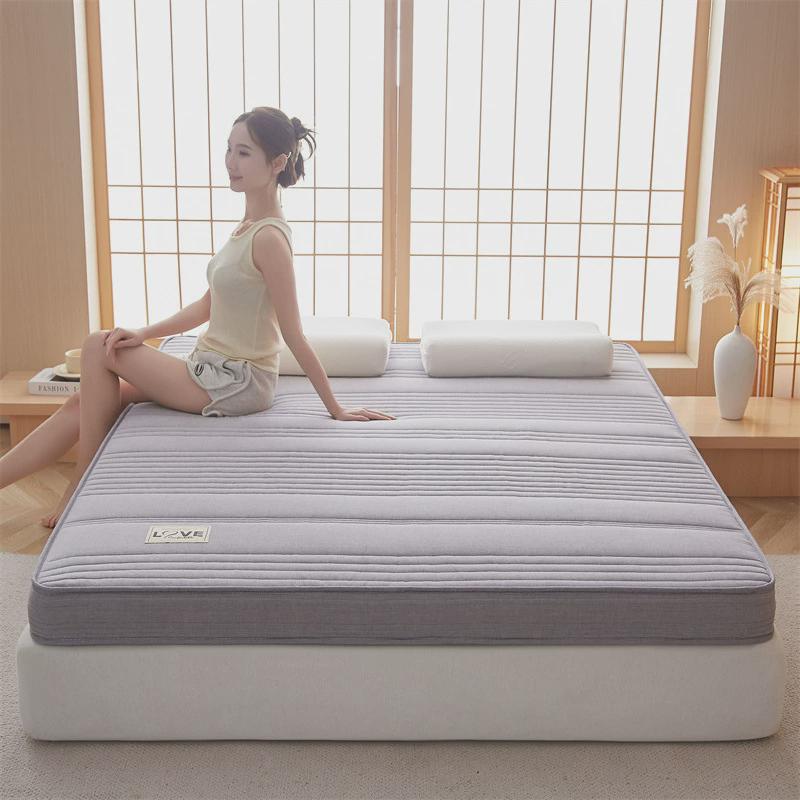 椰棕榻榻米垫子海绵床垫家用宿舍学生加厚乳胶记忆棉软垫褥子1.8