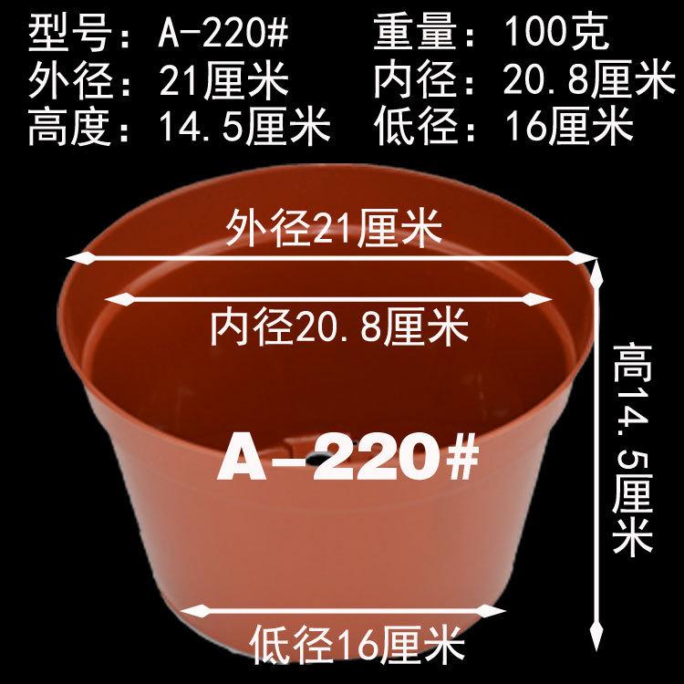 棕色育苗营养杯圆形钵塑花盆平低盆栽绿植培植a型[厂价大量直供]