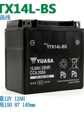 哈雷X48 X350 X500 Nightster 975夜行者硬汉1200XL路锋电瓶电池