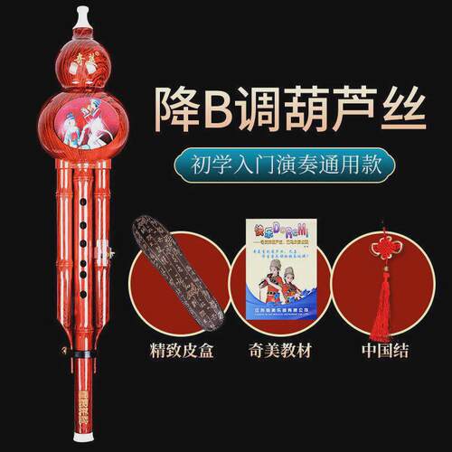 奇美葫芦丝乐器胡c调降b调儿童专业演奏防摔初学者芦丝小学生专用