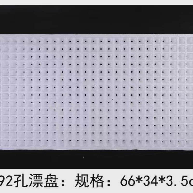 育苗飘穴泡沫育苗盘托盘萝卜苗芹菜莴笋生菜蔬菜培育水上板漂浮盘