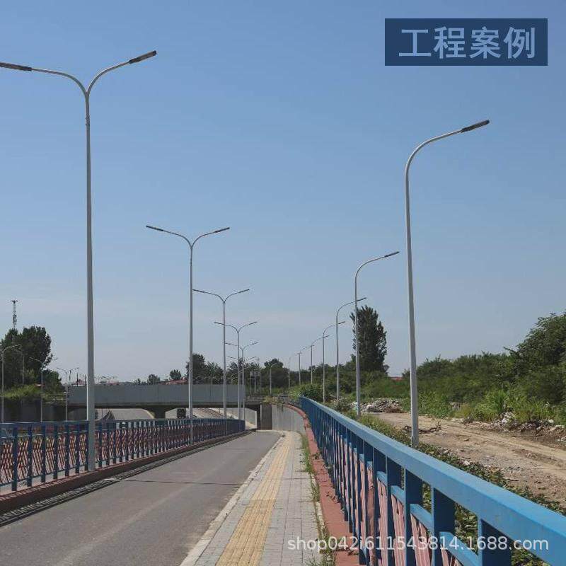 新农村led路灯厂家6米7m80W自弯臂路灯市政8米大功率高杆路灯价格