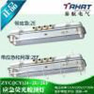 2ef船用双管荧光舱顶灯带网罩应急2 20w日光灯 zyc24 jcy24