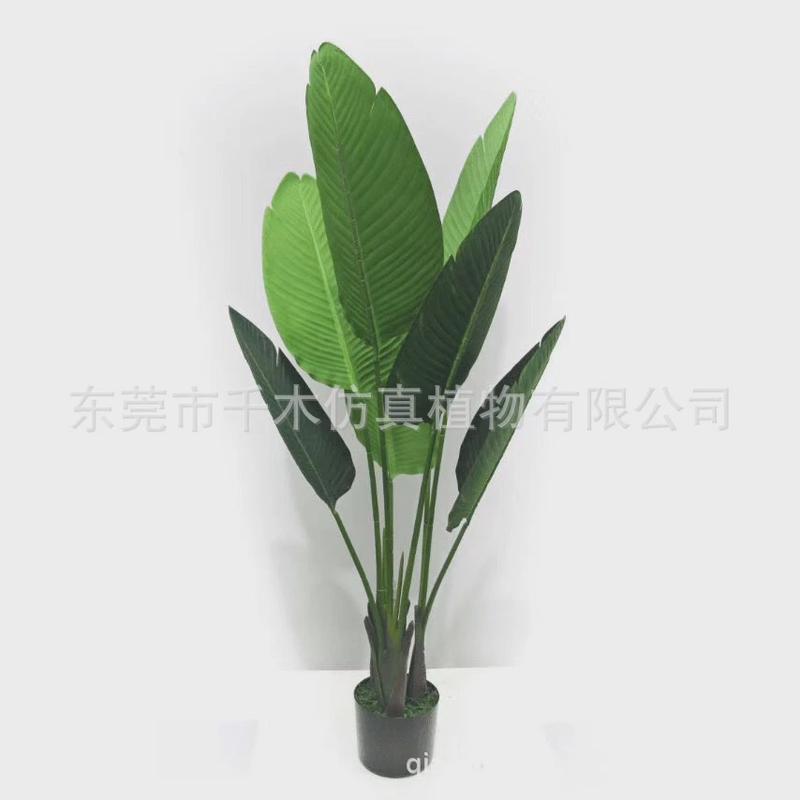 芭蕉摆件摄影拍摄道具旅人蕉粉红喷色婚庆场景布置仿真植物盆景