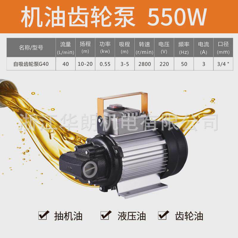 韩朗机油齿轮泵微型铝合金电动家用抽油泵厂家批发液压泵交流铜线