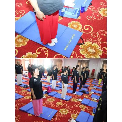 浅蓝十二段锦坐垫健身气功垫气功协会功法训练垫健身气功垫升级版