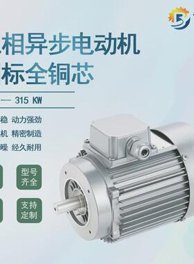 台州倍速电动机ye3-80m1-2级2800转750w三相电机立卧式铝壳电机厂