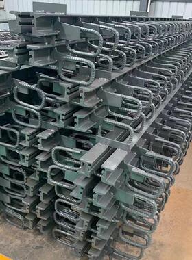 桥梁变形缝厂家c40型d80型f60型模数式伸缩缝伸缩缝异型钢毛勒缝