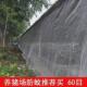 农用蔬菜果树防虫网聚乙烯大棚防虫网养殖围网跨境切片防虫网罩