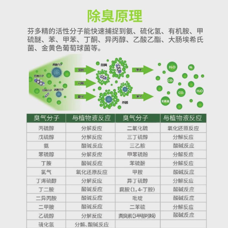 除宠物除异味垃圾异味芬多精原液室内空气净化芬多精浓缩液