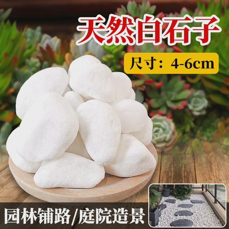 天然白石子庭院铺路鹅卵石白色造景颗粒小白石头阳台石子景观砾石