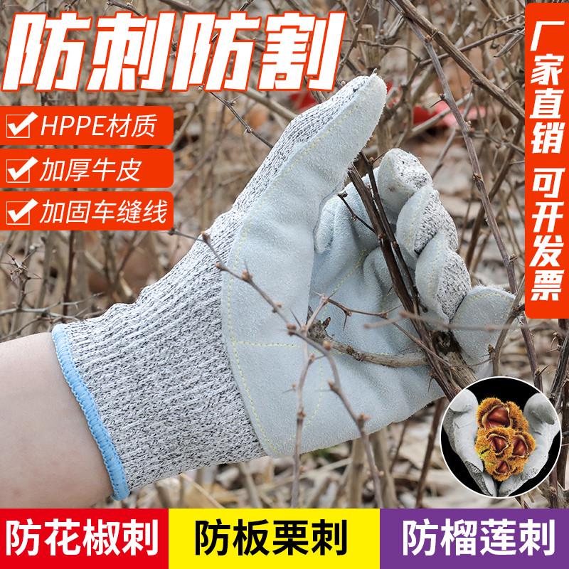 防刺防扎手套防割杀鱼园艺摘板栗花椒耐磨防滑仙人掌玫瑰月季手套