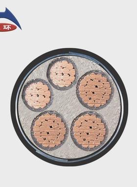 【量大价优】天环低压铠装电缆ZRC-YJV223*25+2*16平方铜芯电缆