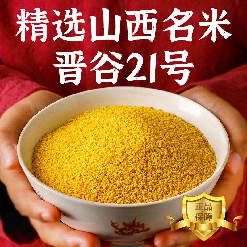 新货米沁州黄小米5斤装小黄米新米小米粥五谷杂粮宝宝山西小米月