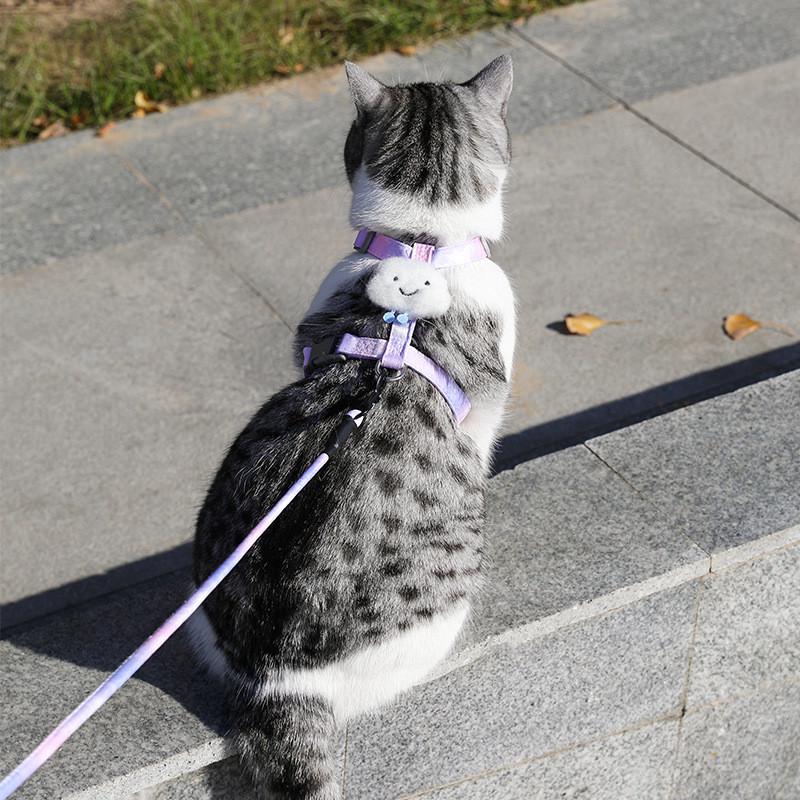 翅膀猫绳工字型猫咪牵引绳 防挣脱遛猫绳子渐变猫牵引绳猫咪用品