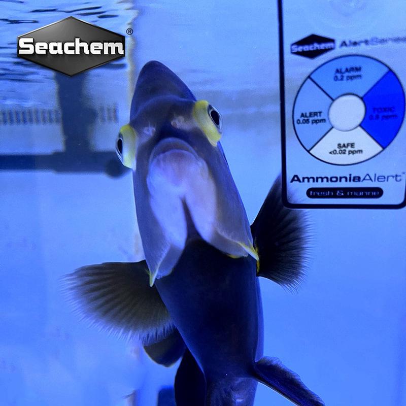 美国海化Seachem海化PH卡氨含量警报卡淡海通用氨卡海化氨