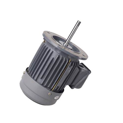 东莞源头厂家销售0.75kw耐高温长轴电机三相异步铸铁电机马达