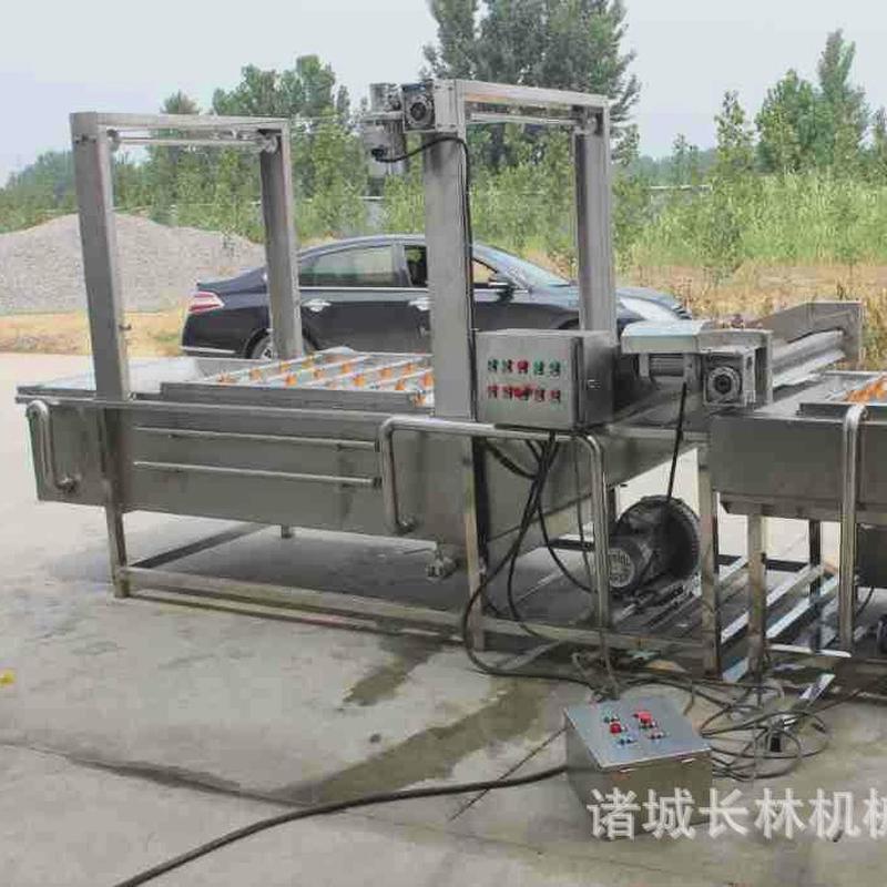 梅干菜荷兰豆加工设备马蹄田七气泡清洗机蒜米雪菜清洗流水